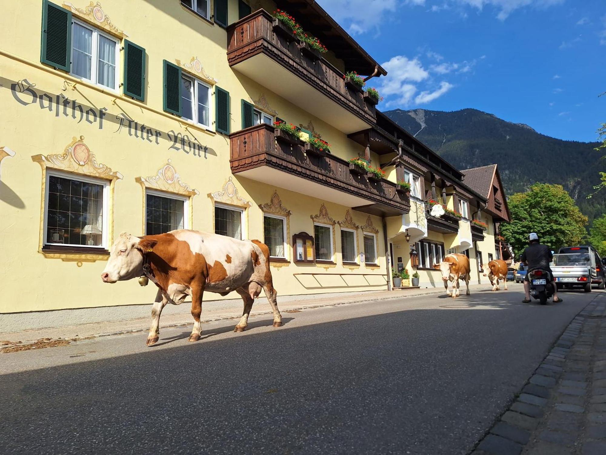 Hotel Gasthof Alter Wirt Farchant Ngoại thất bức ảnh