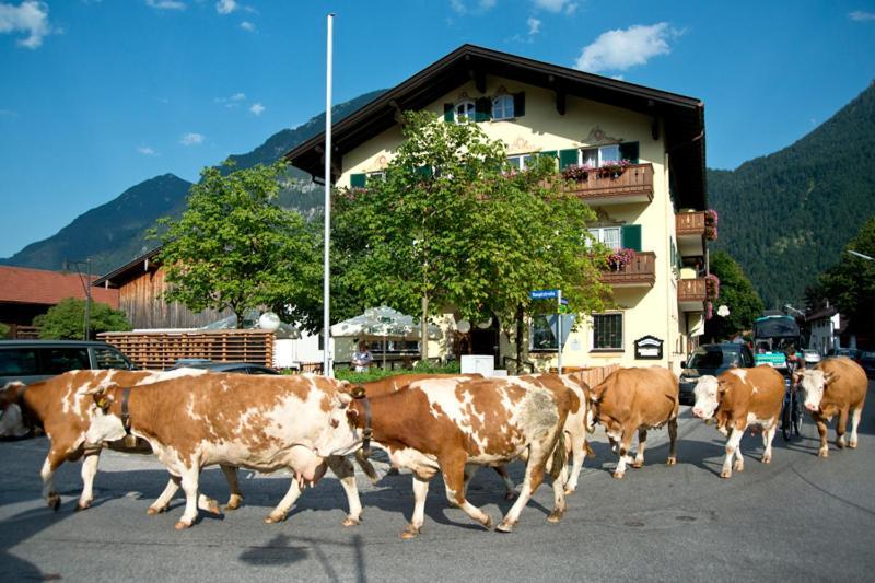 Hotel Gasthof Alter Wirt Farchant Ngoại thất bức ảnh